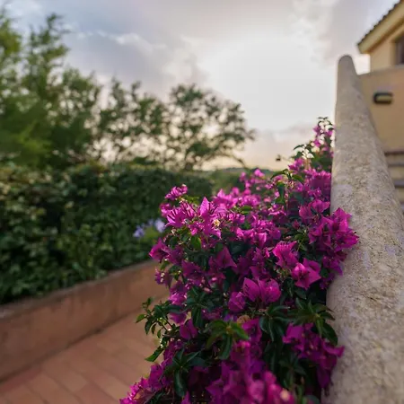 Amarena Apartment Olbia